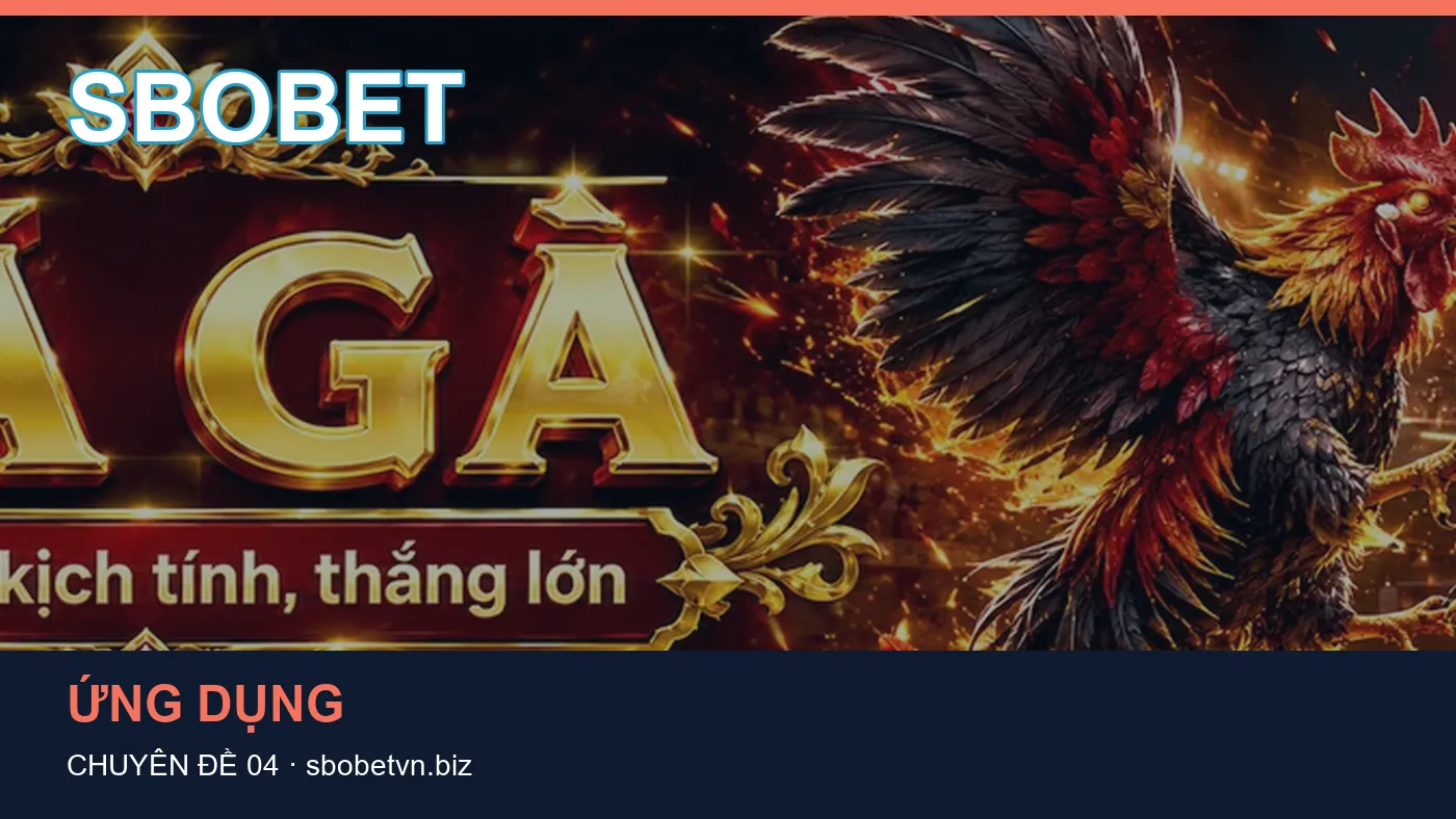 Những nhầm lẫn thường gặp khi đọc nội dung Bóng đá trên SBOBET