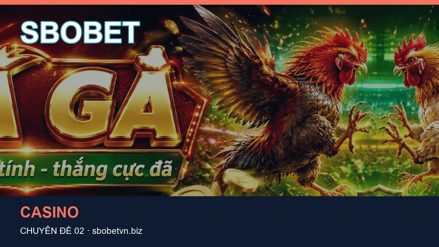 Hỏi đáp về Ứng dụng: quy trình tự kiểm tra trên SBOBET